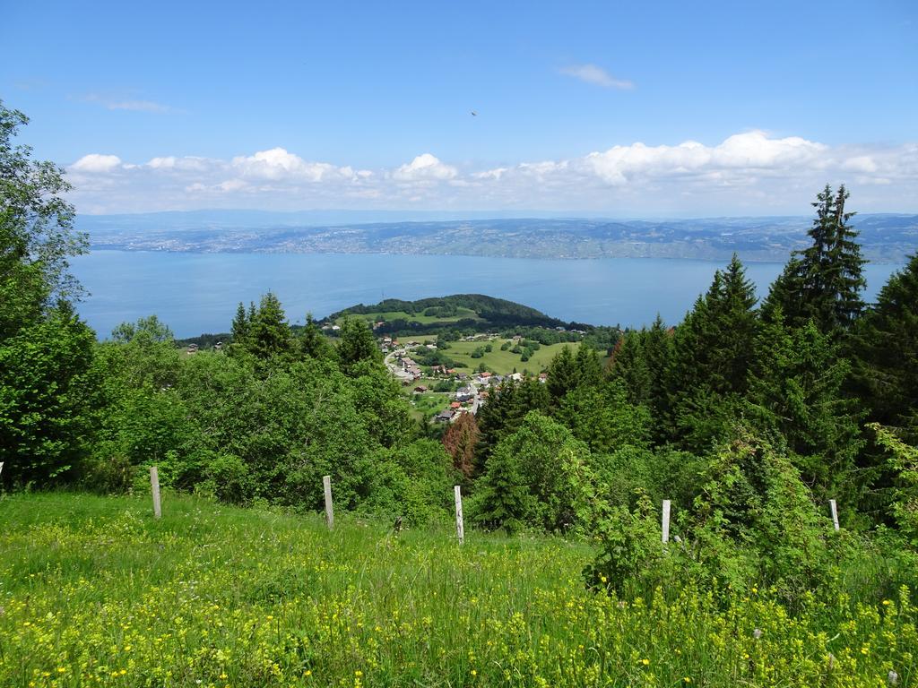 Les Balcons Du Leman Thollon-les-Memises Bagian luar foto